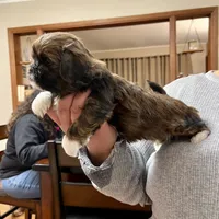 processed/e4ef4f4e-153a-4e0d-b7d3-5f967549c7f9/facility/010fe4c4-85f1-4277-b220-144dea0612d6