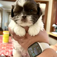 processed/e4ef4f4e-153a-4e0d-b7d3-5f967549c7f9/facility/0bec23d3-9025-4b96-babe-992e808eb485