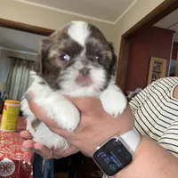 processed/e4ef4f4e-153a-4e0d-b7d3-5f967549c7f9/facility/1b4b8fe4-5470-4e7a-b2f5-edaeeeb65b05