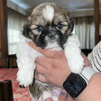 processed/e4ef4f4e-153a-4e0d-b7d3-5f967549c7f9/facility/357b7b15-4dc8-461c-aad6-1c69413f1b7d