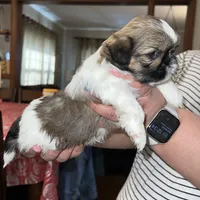 processed/e4ef4f4e-153a-4e0d-b7d3-5f967549c7f9/facility/71c08bf4-f8df-485a-96cc-0bd34a5446d2