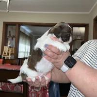 processed/e4ef4f4e-153a-4e0d-b7d3-5f967549c7f9/facility/9c194ae7-dc3b-4916-a926-535f364f0ece