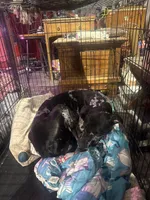 processed/e4f04c43-ef00-4ea1-8a4c-05d91e07dab5/listing/96b24564-a8e0-413c-9309-3a3f19fc76bc/26c7dbb6-2955-4245-8c2c-271d1860bbaf