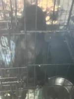 processed/e4f04c43-ef00-4ea1-8a4c-05d91e07dab5/listing/96b24564-a8e0-413c-9309-3a3f19fc76bc/698c3255-abc7-489b-9a82-1785e76e6dc9