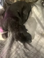 processed/e4f04c43-ef00-4ea1-8a4c-05d91e07dab5/listing/96b24564-a8e0-413c-9309-3a3f19fc76bc/73c1623a-81ea-4486-8b4c-b9ad61b751a6