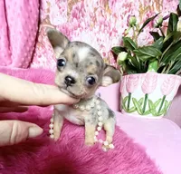 processed/e4f1bd25-c2f8-42f7-b076-56a88ff85f96/facility/29c1f57e-f3d0-4cac-8032-c2f5ac7b1814