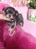 processed/e4f1bd25-c2f8-42f7-b076-56a88ff85f96/facility/522a80fa-f768-47e9-9947-c66d3489a2ec