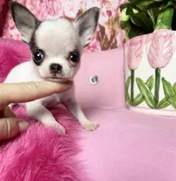 processed/e4f1bd25-c2f8-42f7-b076-56a88ff85f96/facility/861226b0-afd2-4596-ae7d-9d00dc781d1f