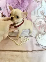 processed/e4f1bd25-c2f8-42f7-b076-56a88ff85f96/facility/b12c1b57-822b-4adb-8b2f-804f777432a5