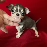 processed/e4f1bd25-c2f8-42f7-b076-56a88ff85f96/facility/d0b56c60-ca8e-4801-bacf-3545ad3aac8c