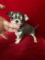 processed/e4f1bd25-c2f8-42f7-b076-56a88ff85f96/facility/d0b56c60-ca8e-4801-bacf-3545ad3aac8c