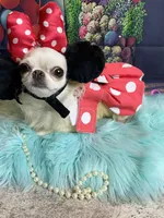 processed/e4f1bd25-c2f8-42f7-b076-56a88ff85f96/facility/e13d5cec-e11c-459a-8d9d-58a9177dd101