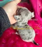 processed/e4f1bd25-c2f8-42f7-b076-56a88ff85f96/listing/d9929725-58ac-466a-99a3-7777a973a317/2a3a5c8f-0ef2-41e9-a557-0415aadeae10