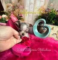 processed/e4f1bd25-c2f8-42f7-b076-56a88ff85f96/listing/d9929725-58ac-466a-99a3-7777a973a317/36f4a8f6-5988-4797-bb76-f9c6ea51cd19