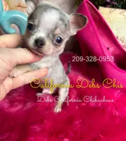 processed/e4f1bd25-c2f8-42f7-b076-56a88ff85f96/listing/d9929725-58ac-466a-99a3-7777a973a317/43dcfb2a-a784-4cbb-a61e-bbc43c002f99