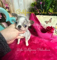 processed/e4f1bd25-c2f8-42f7-b076-56a88ff85f96/listing/d9929725-58ac-466a-99a3-7777a973a317/576b5d1c-62f8-4dbc-a176-26960762fb89