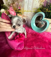 processed/e4f1bd25-c2f8-42f7-b076-56a88ff85f96/listing/d9929725-58ac-466a-99a3-7777a973a317/5dc191b2-fe6c-4b80-8aa8-38eec13e2f3a