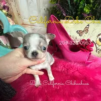 processed/e4f1bd25-c2f8-42f7-b076-56a88ff85f96/listing/d9929725-58ac-466a-99a3-7777a973a317/9a727f8d-ea6a-41c0-b3ce-612b2ca77573