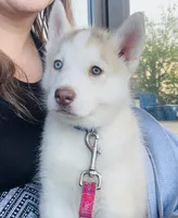 Photo of Aspen