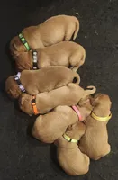 Facility photo