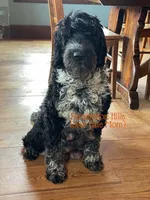 processed/e50bbf47-41ac-4a89-ba6c-ebac8a85dc91/listing/25c07c36-0771-4dba-877d-b6b3add01297/da3b2e68-86ed-4c3c-8319-1c0ddbd18376