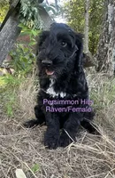 processed/e50bbf47-41ac-4a89-ba6c-ebac8a85dc91/listing/6ad2c6fe-e85f-4686-a27f-e47085fd905a/2aa1dbc0-b46a-4557-987f-2792682d70c9