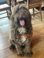 processed/e50bbf47-41ac-4a89-ba6c-ebac8a85dc91/listing/6ad2c6fe-e85f-4686-a27f-e47085fd905a/6d499994-a5e4-4f5c-8e8c-5f0317aee152