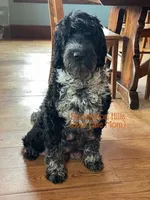 processed/e50bbf47-41ac-4a89-ba6c-ebac8a85dc91/listing/6ad2c6fe-e85f-4686-a27f-e47085fd905a/cad57a99-0167-47b6-92d1-9d6c999b505c