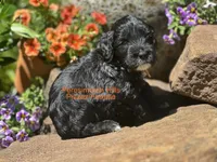 processed/e50bbf47-41ac-4a89-ba6c-ebac8a85dc91/listing/b00cdf87-ba3a-4ea1-b4d7-48c079c8b76d/dae20b19-1f3d-42d1-968d-12fbffe70e16