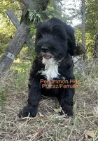 processed/e50bbf47-41ac-4a89-ba6c-ebac8a85dc91/listing/b00cdf87-ba3a-4ea1-b4d7-48c079c8b76d/de355024-f417-4acf-92d5-0c1d91ca3bae