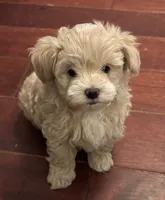 processed/e5100945-a5f4-4ce6-a7f3-0413f5ec91a0/listing/b0a057d7-779e-4a41-81b1-2fcdd2c42fbd/18f9da14-a483-4132-ba49-0bb52b7688b0