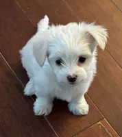 processed/e5100945-a5f4-4ce6-a7f3-0413f5ec91a0/listing/b4b3949c-9ffc-44b4-8402-1d3787f582ea/38c94802-4c8e-405e-8848-21004edeb40f