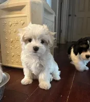 processed/e5100945-a5f4-4ce6-a7f3-0413f5ec91a0/listing/ef4de09d-08d9-47de-a4fd-9e3c61bd75a7/0e18a01b-ba9a-4fd4-adca-dd00909b9f43