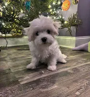 processed/e5100945-a5f4-4ce6-a7f3-0413f5ec91a0/listing/ef4de09d-08d9-47de-a4fd-9e3c61bd75a7/174ab23c-47c8-49ae-a6d9-cf58e64fbf7c