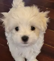 processed/e5100945-a5f4-4ce6-a7f3-0413f5ec91a0/listing/ef4de09d-08d9-47de-a4fd-9e3c61bd75a7/5315b9b3-7dd7-4b70-971a-60a594a77096