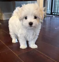 processed/e5100945-a5f4-4ce6-a7f3-0413f5ec91a0/listing/ef4de09d-08d9-47de-a4fd-9e3c61bd75a7/dde23254-8f4a-45fb-94ed-029b42a8cb75