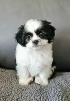 processed/e516309d-303e-4434-aae3-292907169e60/listing/f40613e3-752f-49b4-8fd8-e67972f2e0db/6548a125-914e-4395-8544-d0e39edf97e2