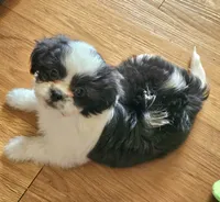 processed/e516309d-303e-4434-aae3-292907169e60/listing/f40613e3-752f-49b4-8fd8-e67972f2e0db/83234b77-d18c-4179-918c-9e164148e200