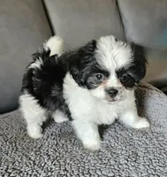 processed/e516309d-303e-4434-aae3-292907169e60/listing/f40613e3-752f-49b4-8fd8-e67972f2e0db/874e5310-9cc8-426b-8edf-619b8118b0c9