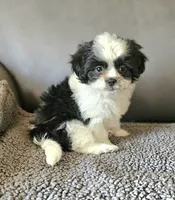 processed/e516309d-303e-4434-aae3-292907169e60/listing/f40613e3-752f-49b4-8fd8-e67972f2e0db/c09bf223-2d6c-490c-be49-4d0c384e2202