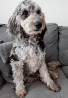 processed/e52809c1-cd3c-4197-b52b-9ada943ffc6c/facility/4fd938db-8ac2-44d4-a4b5-0623977cba87