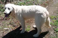 processed/e52809c1-cd3c-4197-b52b-9ada943ffc6c/facility/b072212c-05d7-43a6-aee5-8223b086e423