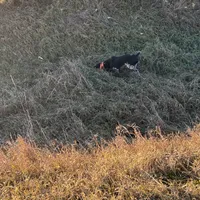 processed/e5280c10-0231-494c-b105-f4fac3436322/facility/228aa175-49f8-447a-8343-b82bcb4f19b4