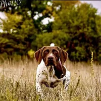 processed/e5280c10-0231-494c-b105-f4fac3436322/facility/578f1c41-b5c0-4f45-a8b2-470299588af4