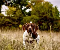 processed/e5280c10-0231-494c-b105-f4fac3436322/facility/578f1c41-b5c0-4f45-a8b2-470299588af4