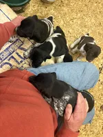 processed/e5280c10-0231-494c-b105-f4fac3436322/facility/96f2646c-05ae-437f-967e-f1a051cca1c7