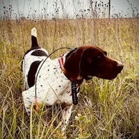 processed/e5280c10-0231-494c-b105-f4fac3436322/facility/e46959b8-84df-4c64-95d5-ec20fbe93796