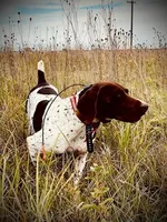 processed/e5280c10-0231-494c-b105-f4fac3436322/facility/e46959b8-84df-4c64-95d5-ec20fbe93796