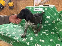 processed/e5280c10-0231-494c-b105-f4fac3436322/listing/10b73a4d-4af2-400e-aacc-13458e4602b9/086ba32b-1abf-4466-8d39-bd88880417cd