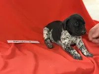 processed/e5280c10-0231-494c-b105-f4fac3436322/listing/10b73a4d-4af2-400e-aacc-13458e4602b9/1bca4691-96ca-469b-af12-dc0f715b11ec